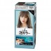 Kao Liese Creamy Bubble Color Cool Ash 108ml