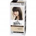 Kao Liese creamy bubble color-natural brown 108ml