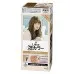 Kao Liese Creamy Bubble Color Hair Dye Milk Tea Brown 108ml